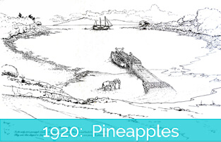Honokeana Cove History - 1920 Pineapples