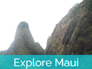 Honokeana Cove activities - explore Maui