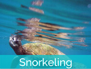 Honokeana Cove activities - snorkeling