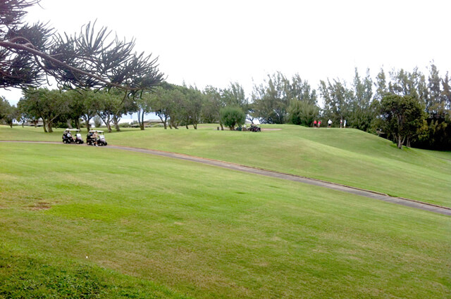 Honokeana Cove Activities - Golf