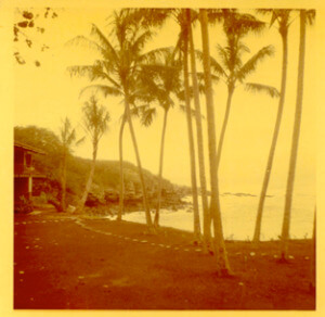 Honokeana Cove History - 1965 Condos