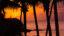 sunset-behind-papaua-point-brad-daane